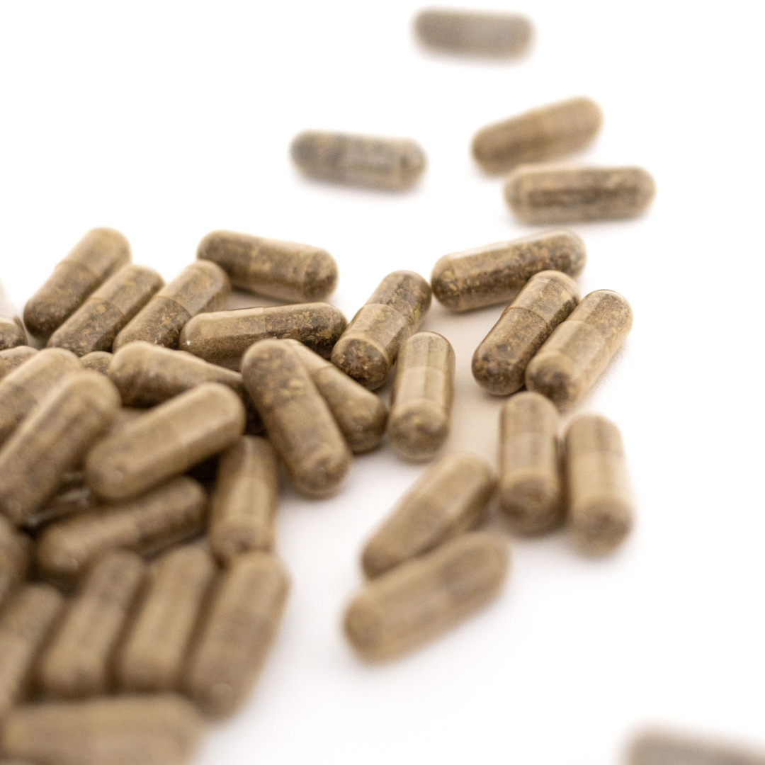 Irisches Meeresmoos - Nahrungsergänzungsmittel (Kapseln)