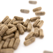 Irisches Meeresmoos - Nahrungsergänzungsmittel (Kapseln)