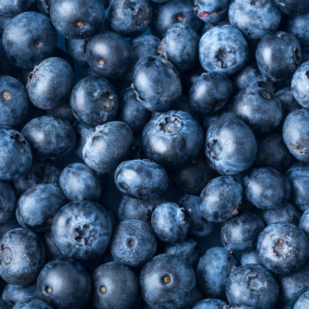 Mirtillo Vaniglia- VEGAN