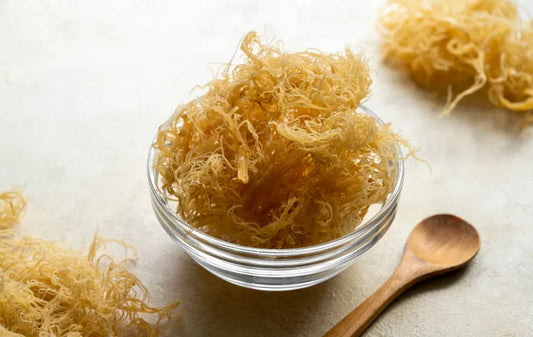 Benefits Of Sea Moss